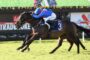 Two jockeys race a dark horse on a green turf track, close to the finish line, rider in blue silks on horse #3.”