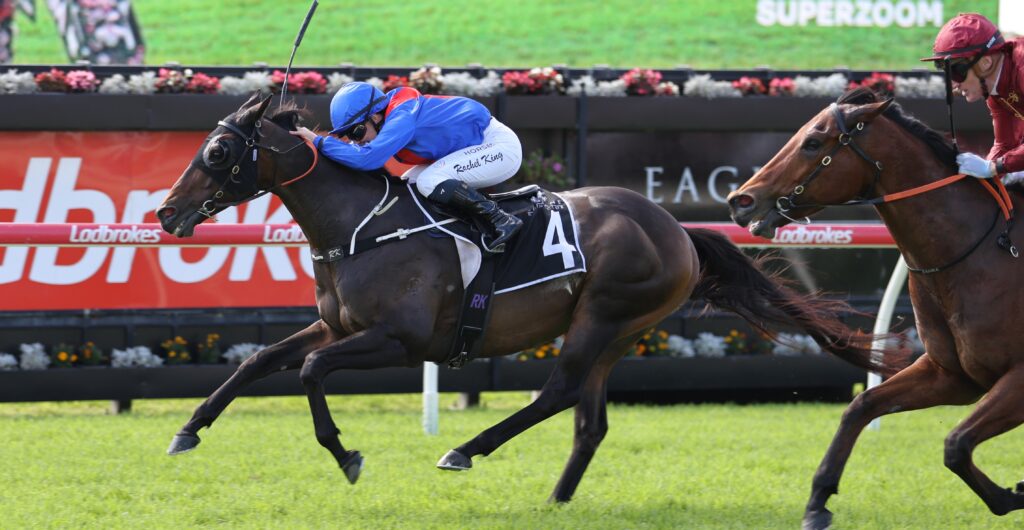 Jockey in blue leans forward on a dark horse with number 4, racing a rival on a sunny track. Audience and banners visible in background.