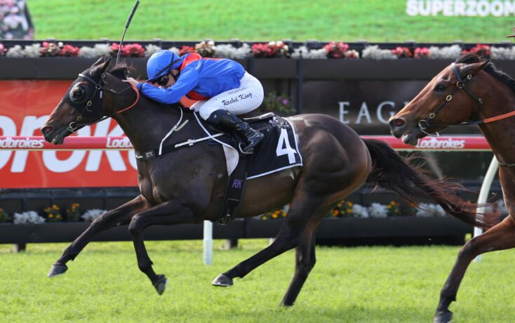 Jockey in blue leans forward on a dark horse with number 4, racing a rival on a sunny track. Audience and banners visible in background.