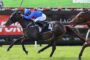 Jockey in blue leans forward on a dark horse with number 4, racing a rival on a sunny track. Audience and banners visible in background.