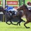 Two jockeys ride fast on racing horses during a jump race, wearing blue and maroon silks, with Ladbrokes banners in the background