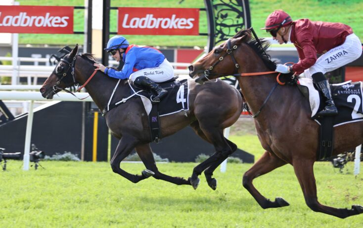 Two jockeys ride fast on racing horses during a jump race, wearing blue and maroon silks, with Ladbrokes banners in the background