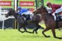 Two jockeys ride fast on racing horses during a jump race, wearing blue and maroon silks, with Ladbrokes banners in the background