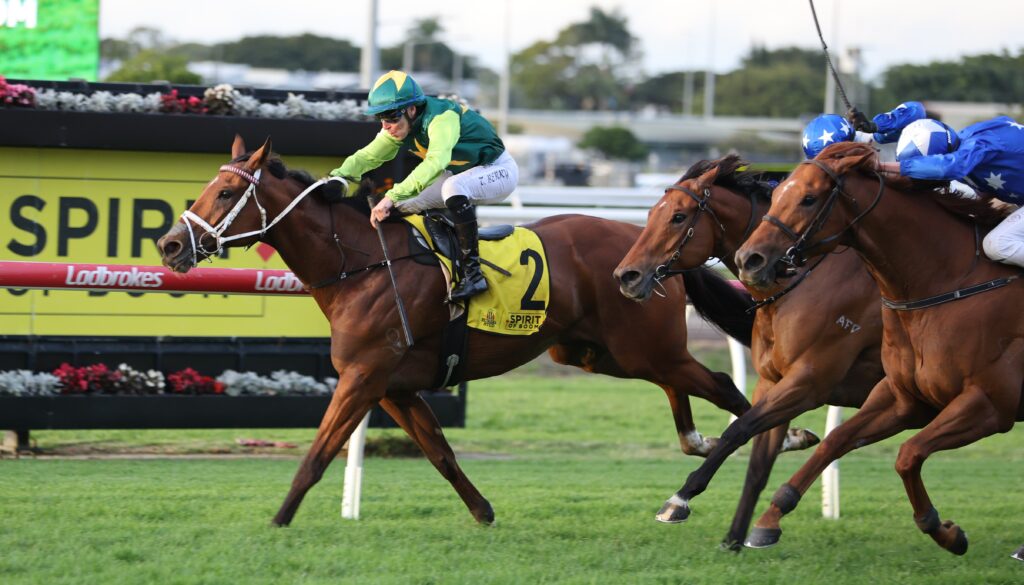 Yellow Brick 4 | Just Horse Racing Jockey in green and yellow rides a brown horse leading a packed horse race on a sunny track, number 2 saddle visible