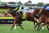 Jockey in green and yellow rides a brown horse leading a packed horse race on a sunny track, number 2 saddle visible