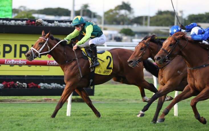 Jockey in green and yellow rides a brown horse leading a packed horse race on a sunny track, number 2 saddle visible