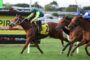 Jockey in green and yellow rides a brown horse leading a packed horse race on a sunny track, number 2 saddle visible
