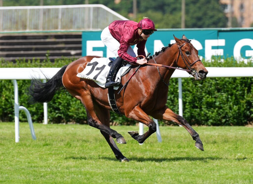 Yellow Jersey | Just Horse Racing Jockey in maroon silks rides a bay horse at full gallop on a turf racecourse, saddlecloth number 11.