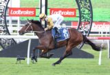 Jockey in gold and white silks rides a brown horse over a hurdle at a racecourse with Ladbrokes banners in the background.