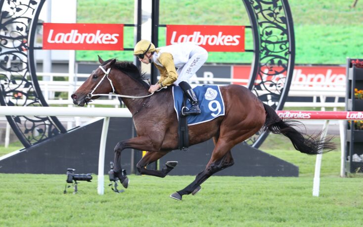 Jockey in gold and white silks rides a brown horse over a hurdle at a racecourse with Ladbrokes banners in the background.
