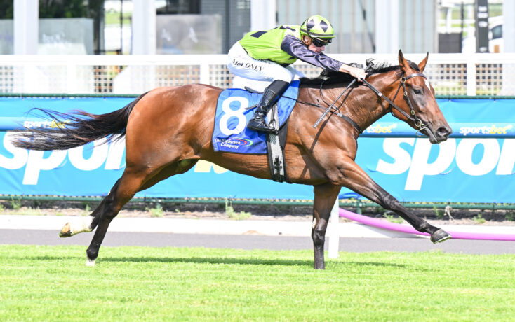 Jockey in neon green and black silks rides a brown horse jumping a hurdle at a racetrack, blue saddle cloth visible with number 8.