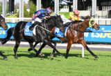 Two jockeys ride racing horses in mid-sprint on a grassy track, with a blue railing in the background and numbers on their blue saddlecloths; a brown horse leads on the right.