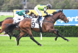 Jockey in neon-green silks crouches forward on a brown horse during a turf horse race.