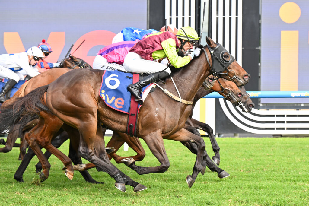 Jockeys in colorful silks racing on horses on a grass track; number 6 saddlecloth visible in foreground.