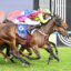 Jockeys in colorful silks racing on horses on a grass track; number 6 saddlecloth visible in foreground.