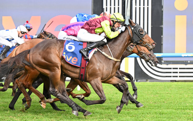 Jockeys in colorful silks racing on horses on a grass track; number 6 saddlecloth visible in foreground.