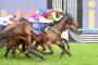 Jockeys in colorful silks racing on horses on a grass track; number 6 saddlecloth visible in foreground.
