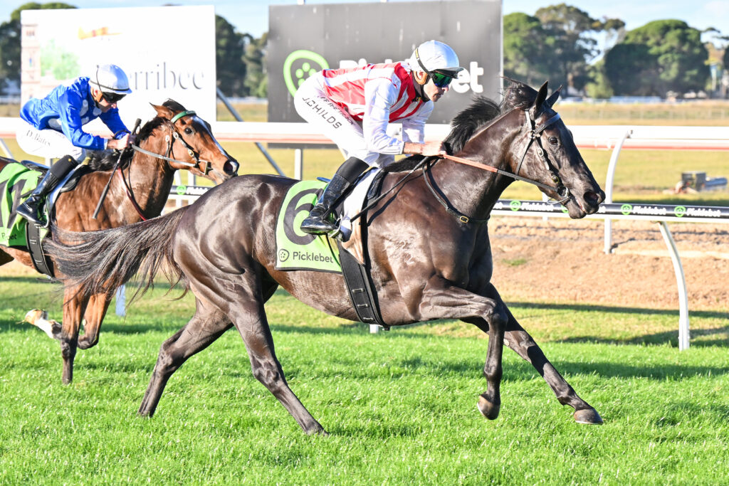 Two jockeys in blue and red silks ride fast horses in a daytime grass-track horse race.