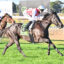 Two jockeys in blue and red silks ride fast horses in a daytime grass-track horse race.