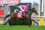 Jockey in a pink jacket and purple helmet rides a dark bay horse over a hurdle at a Ladbrokes-sponsored race, saddlecloth number 12 visible.