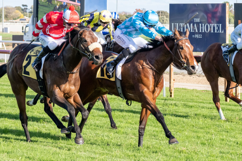 Thoroughbred horses gallop side by side in a race, jockeys in red, yellow, and blue silks urging them forward.