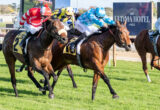 Thoroughbred horses gallop side by side in a race, jockeys in red, yellow, and blue silks urging them forward.