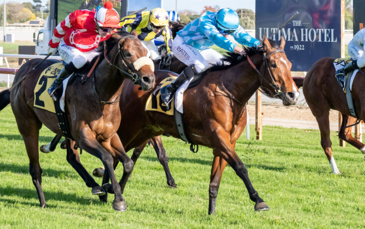 Thoroughbred horses gallop side by side in a race, jockeys in red, yellow, and blue silks urging them forward.