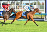 Two jockeys in red and blue silks race their horses at full speed on a sunny grassy racetrack, leaning forward in a sprint.