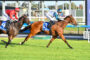 Two jockeys in red and blue silks race their horses at full speed on a sunny grassy racetrack, leaning forward in a sprint.