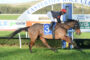 Jockey in red helmet rides a dark horse at full gallop on a race track with a large white arch in the background.
