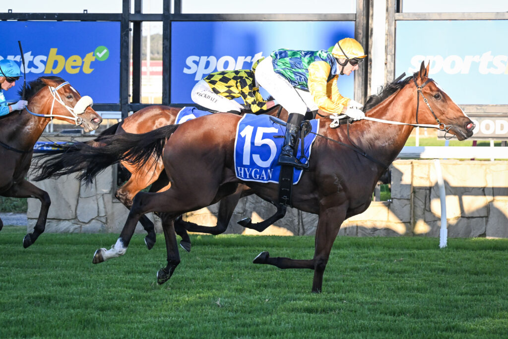 Jockey in bright silks rides a dark brown horse with blue saddlecloth #15, sprinting on a grassy track.