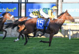Jockey in bright silks rides a dark brown horse with blue saddlecloth #15, sprinting on a grassy track.