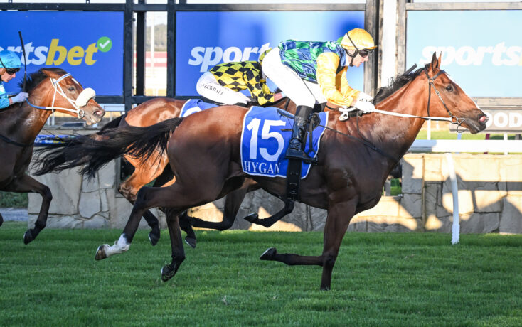 Jockey in bright silks rides a dark brown horse with blue saddlecloth #15, sprinting on a grassy track.
