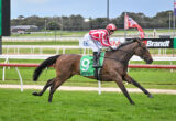 Jockey in red-and-white striped silks rides a brown horse on a race track, green saddlecloth with the number 9.