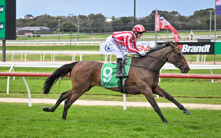 Jockey in red-and-white striped silks rides a brown horse on a race track, green saddlecloth with the number 9.
