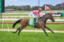 Jockey in red-and-white striped silks rides a brown horse on a race track, green saddlecloth with the number 9.
