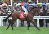 Jockey in blue and yellow atop a galloping brown horse with red saddlecloth number 6 at a crowded racecourse. Whether in a race scene or event, this conveys high-speed horse racing with spectators.