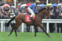 Jockey in blue and yellow atop a galloping brown horse with red saddlecloth number 6 at a crowded racecourse. Whether in a race scene or event, this conveys high-speed horse racing with spectators.