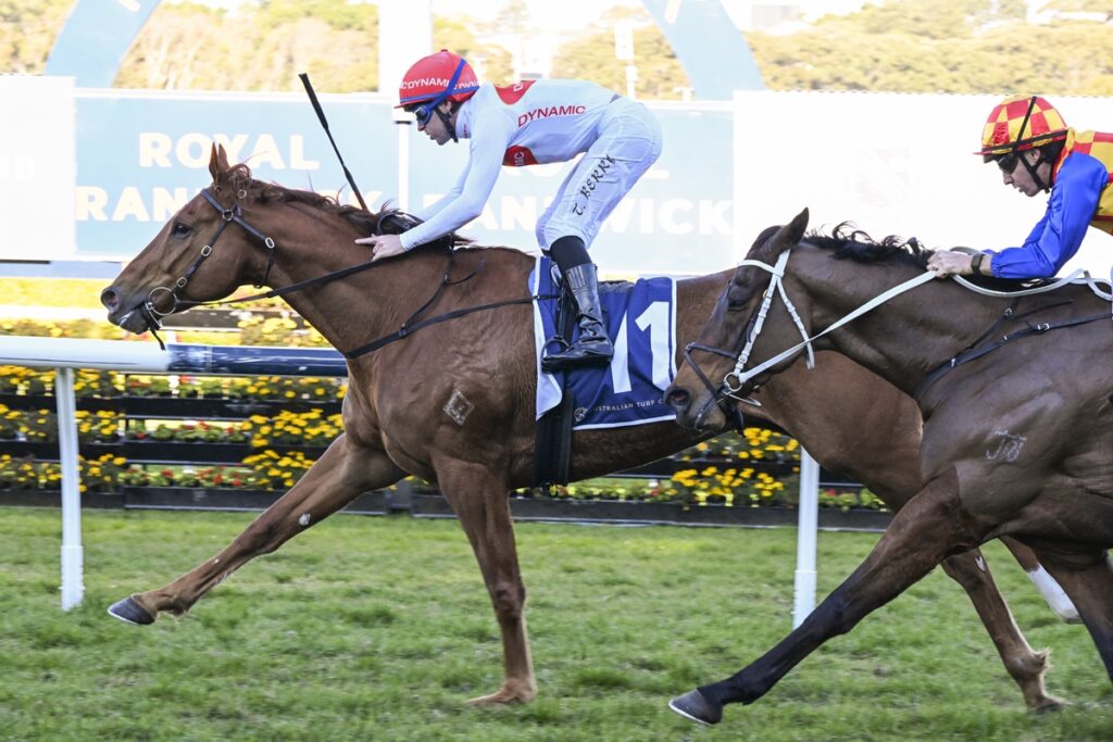 Lugh | Just Horse Racing