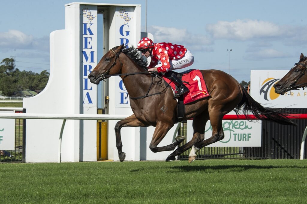 Sir Les | Just Horse Racing A jockey in red polka-dot silks rides a brown horse down the track, white rail in foreground and racecourse signage in the background.