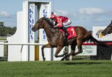 A jockey in red polka-dot silks rides a brown horse down the track, white rail in foreground and racecourse signage in the background.