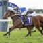 Horse race in progress at Hawkesbury Racecourse; brown horse #1 ridden by jockey in blue and white leads a competing horse close behind on a grassy track.