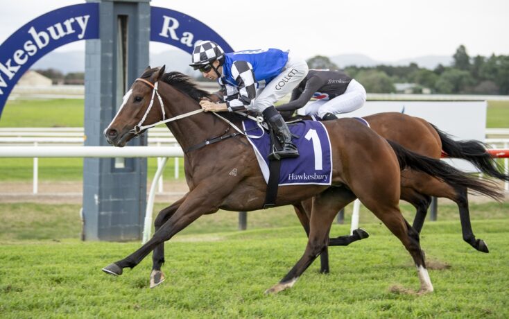 Horse race in progress at Hawkesbury Racecourse; brown horse #1 ridden by jockey in blue and white leads a competing horse close behind on a grassy track.
