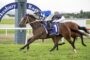 Horse race in progress at Hawkesbury Racecourse; brown horse #1 ridden by jockey in blue and white leads a competing horse close behind on a grassy track.