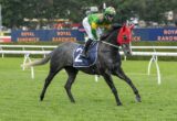 Gray racehorse with a red hood and white tail, ridden by a green-and-yellow-clad jockey on a grass track, saddle cloth number 2.