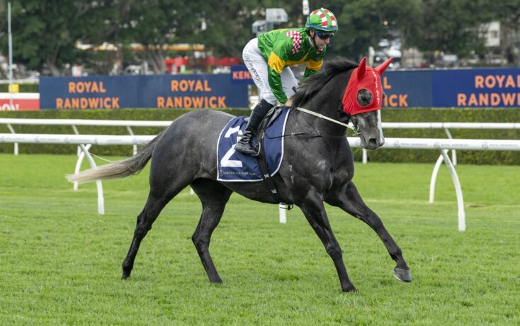 Gray racehorse with a red hood and white tail, ridden by a green-and-yellow-clad jockey on a grass track, saddle cloth number 2.