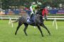 Gray racehorse with a red hood and white tail, ridden by a green-and-yellow-clad jockey on a grass track, saddle cloth number 2.