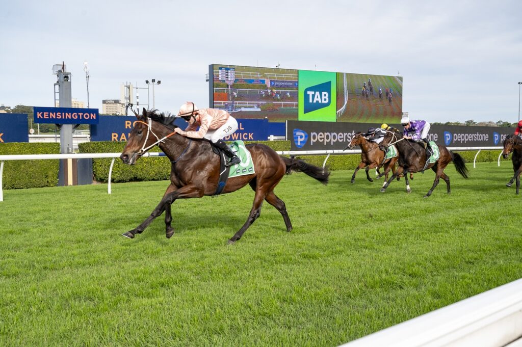 Leading brown racehorse with jockey in peach silks on a green turf track, large scoreboard in background showing the race at a stadium venue.