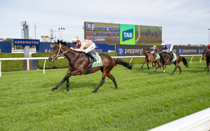 Leading brown racehorse with jockey in peach silks on a green turf track, large scoreboard in background showing the race at a stadium venue.