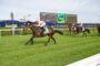 Leading brown racehorse with jockey in peach silks on a green turf track, large scoreboard in background showing the race at a stadium venue.